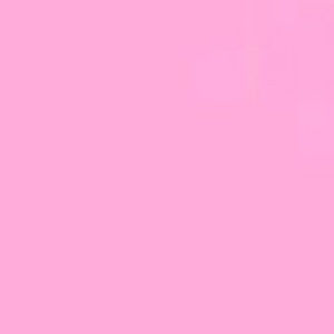 Meet your Posher, Selma